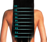 Hair Extensions Length Guide Phoenix
